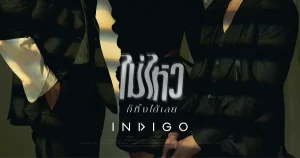 indigo ไม่ไหว