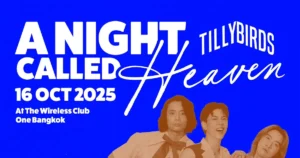 Tilly Birds A Night Called Heaven